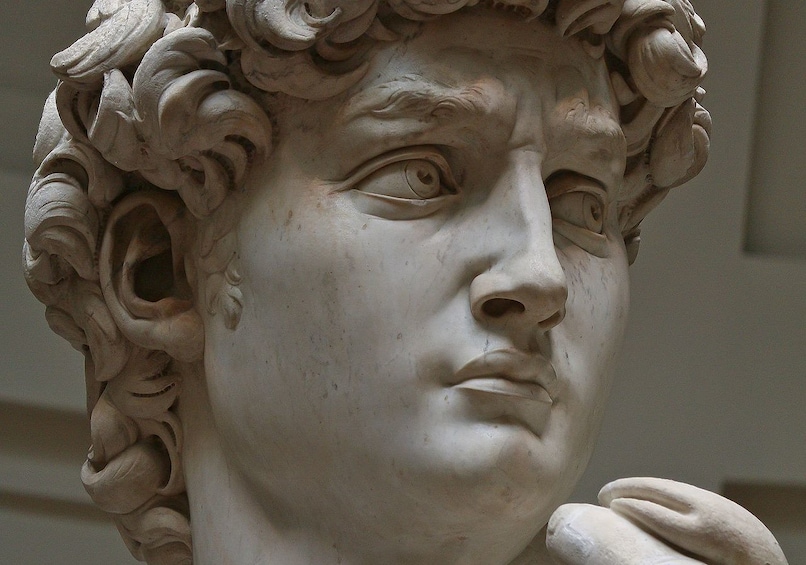 Skip the line fixed entrance: Michelangelo's David Guided Tour