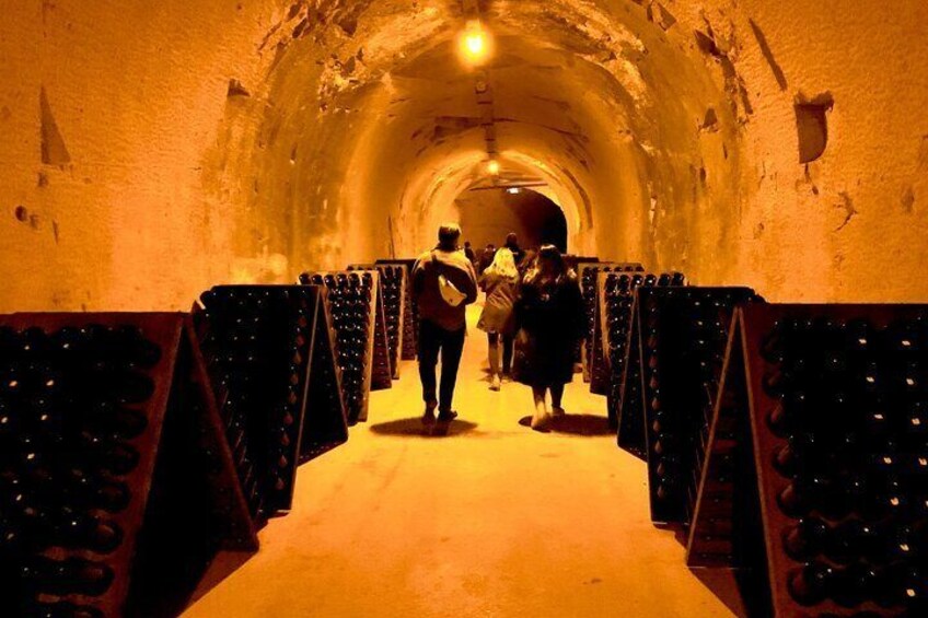 Private Full Day Tour to Champagne from Paris, Visit of 2 Champagne Producers