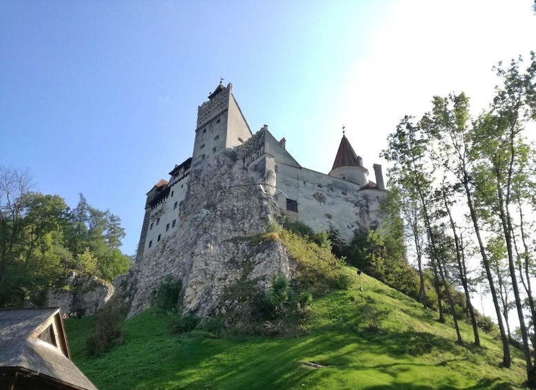 Picture 4 for Activity From Bucharest: A Taste of Transylvania: Private Tour