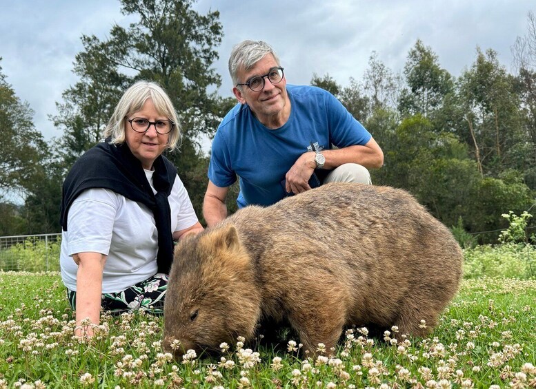 Picture 10 for Activity Sydney: Wild Wombats and Kangaroo Experience