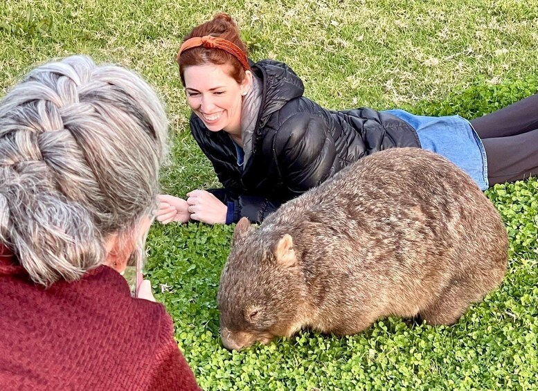Picture 6 for Activity Sydney: Wild Wombats and Kangaroo Experience