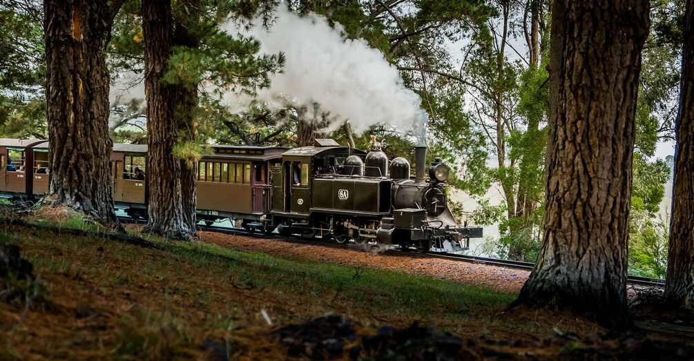 Picture 1 for Activity Puffing Billy Railway: Heritage Steam Train Journey