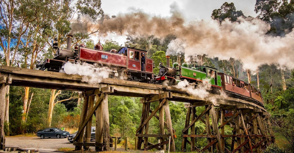 Picture 6 for Activity Puffing Billy Railway: Heritage Steam Train Journey