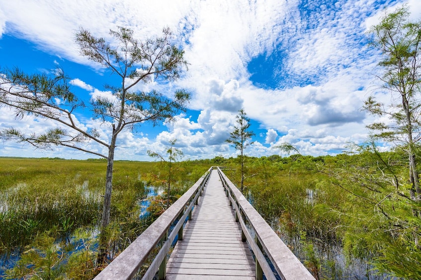 Everglades NP and Big Cypress NP Self Guided Driving Tour Bundle