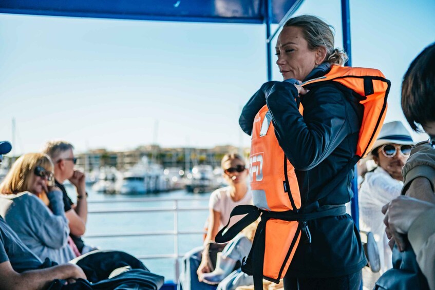 Picture 10 for Activity Spirit of Gold Coast 2.5-Hour Whale Watching Tour