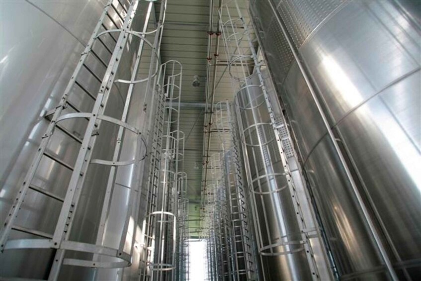 Picture 7 for Activity Veuve Ambal 1.5-Hour Cellar Tour with Tasting