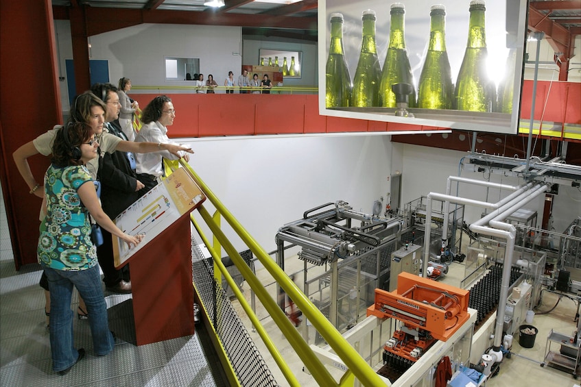 Picture 3 for Activity Veuve Ambal 1.5-Hour Cellar Tour with Tasting