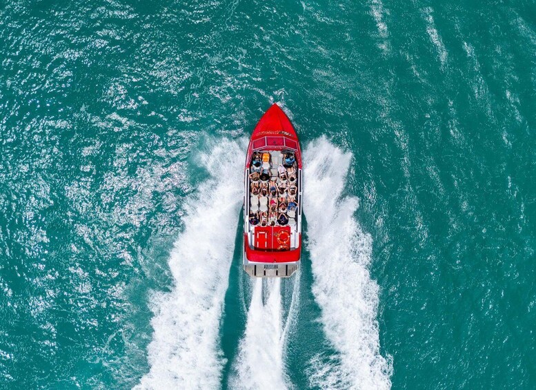 Picture 1 for Activity Airlie Beach: 30-Minute Jet Boat Ride