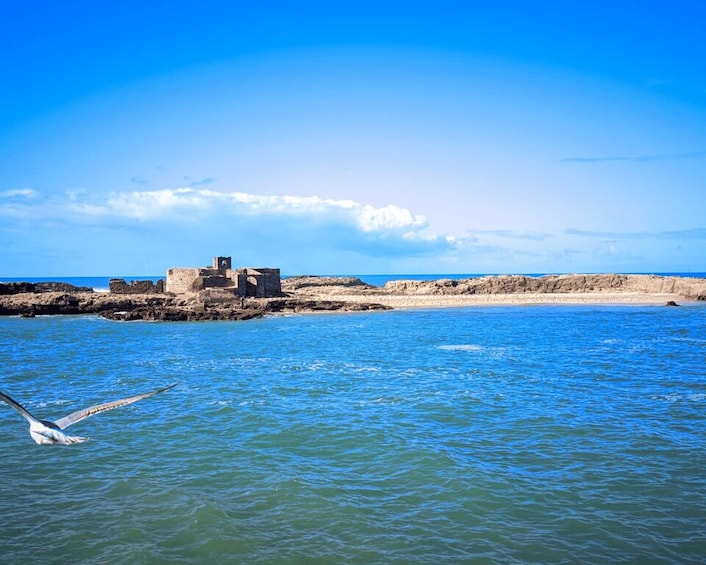Picture 1 for Activity From Marrakesh: Essaouira Full-Day Trip