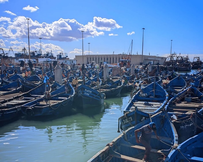 Picture 6 for Activity From Marrakesh: Essaouira Full-Day Trip