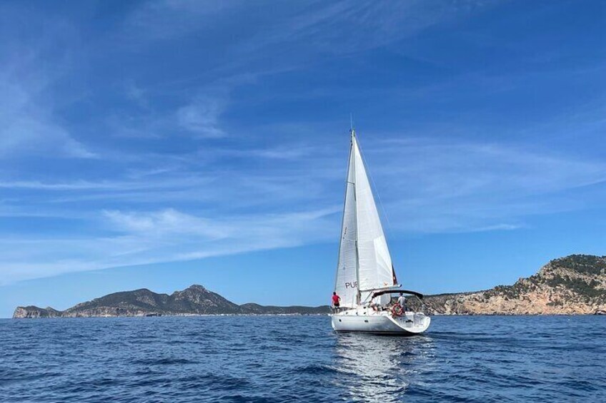 DRAGONERA