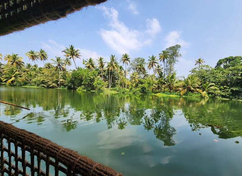 Picture 4 for Activity Cochin: Half-Day Backwater Village Eco Boat Cruise W/ Lunch