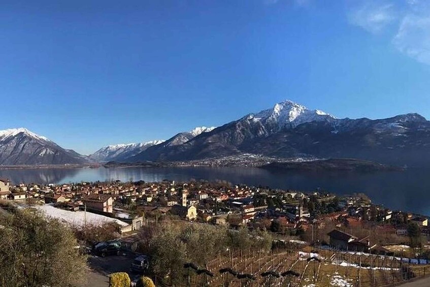 Picture 7 for Activity Lake Como: Winery Tour with Wine Tasting