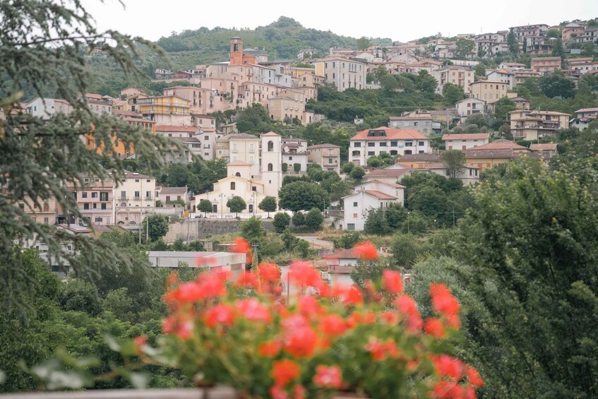 Picture 31 for Activity From Sorrento & Naples: Cortecorbo Wine & Cooking Experience