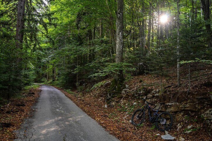E-Bike tour Plitvice Big Waterfall Viewpoints & Tito's Villa