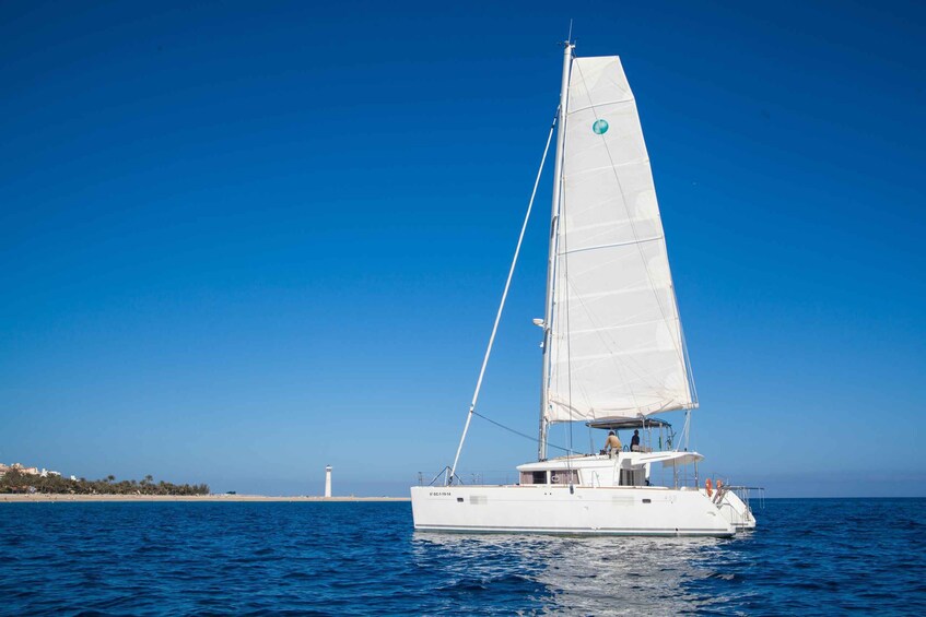 Picture 6 for Activity Fuerteventura: Small-Group Magic Deluxe Catamaran Cruise