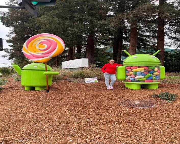 Picture 10 for Activity From San Francisco: Private Tour to Silicon Valley