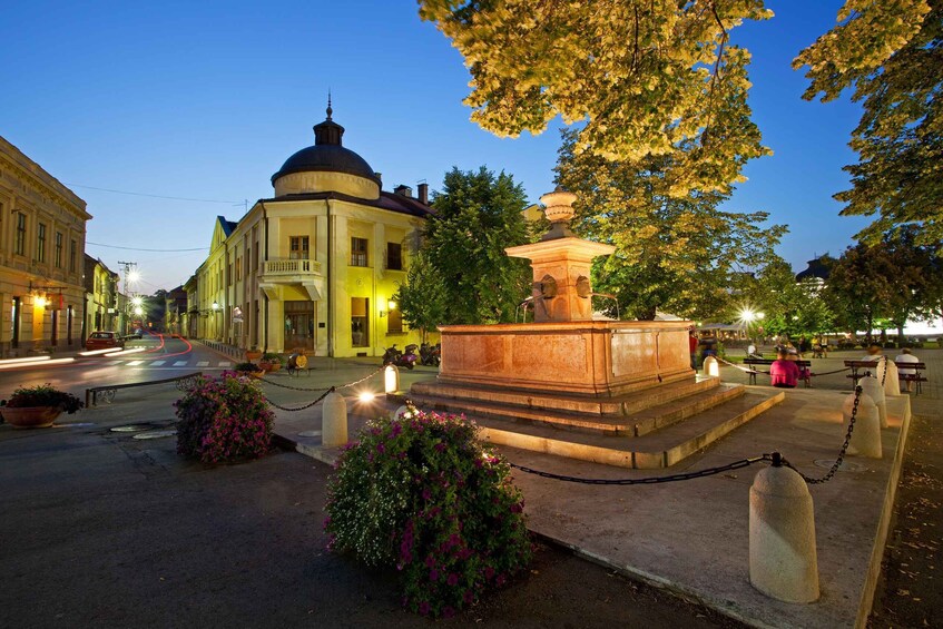 Picture 3 for Activity From Belgrade: Sremski Karlovci & Novi Sad with Wine Tasting