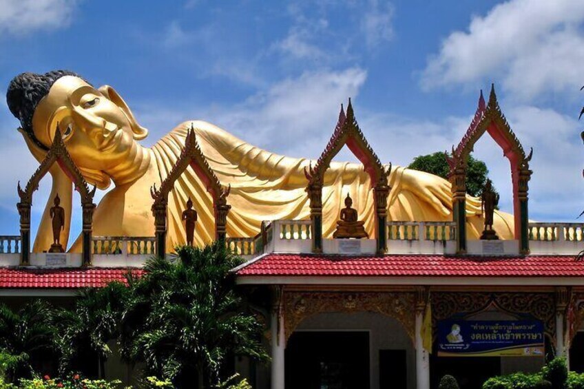 All Inclusive Private Phuket Giant Water Lilies and Temple Tour