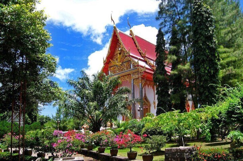 All Inclusive Private Phuket Giant Water Lilies and Temple Tour