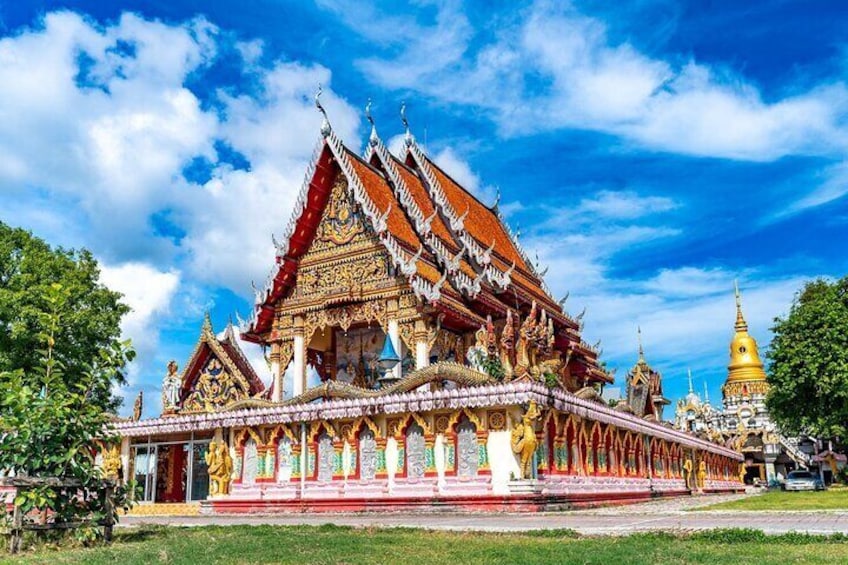 All Inclusive Private Phuket Giant Water Lilies and Temple Tour