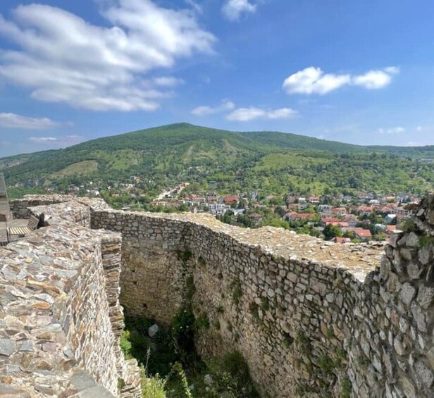 Picture 8 for Activity Bratislava: Grand City Tour with Devin Castle