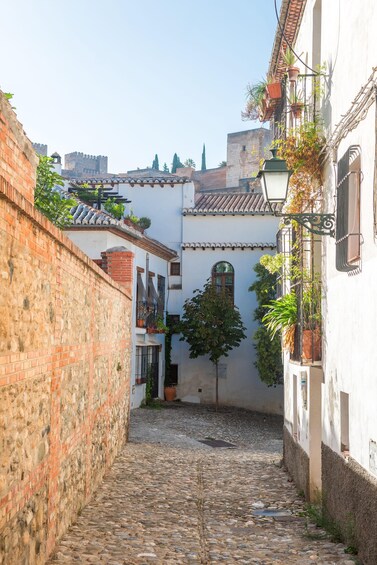 Picture 9 for Activity Granada: Albaicín and Sacromonte Guided Walking Tour