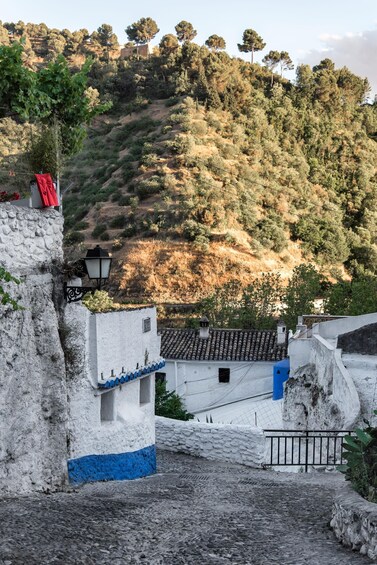 Picture 13 for Activity Granada: Albaicín and Sacromonte Guided Walking Tour