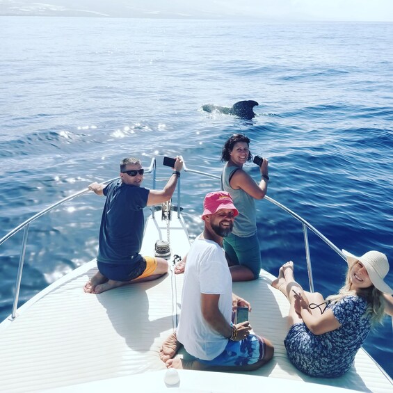 Picture 9 for Activity From San Juan beach : Marine Life Cruise