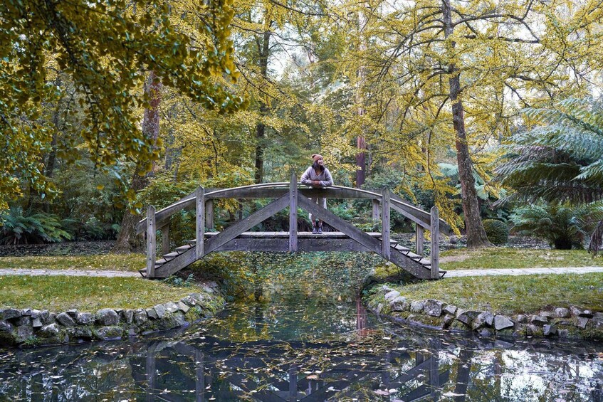 Picture 7 for Activity From Melbourne: Dandenong Ranges Private Day Tour