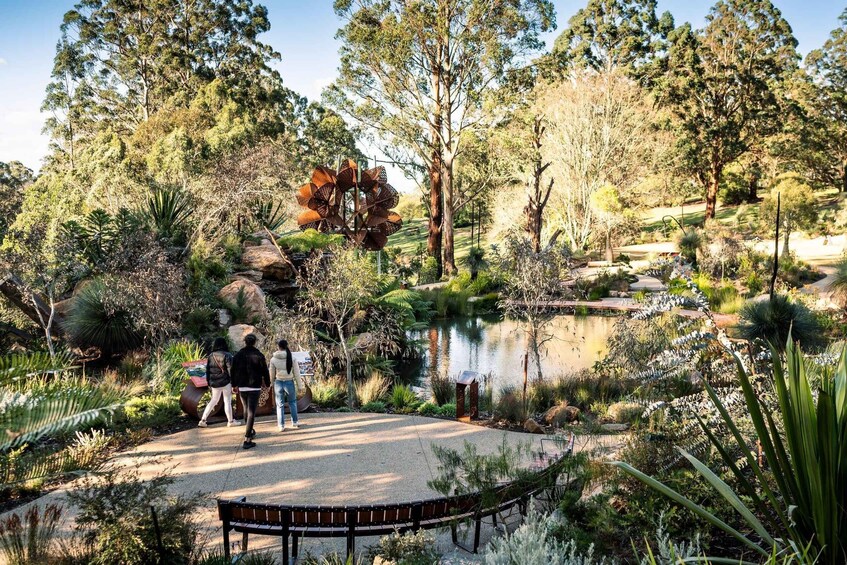 Picture 10 for Activity From Melbourne: Dandenong Ranges Private Day Tour
