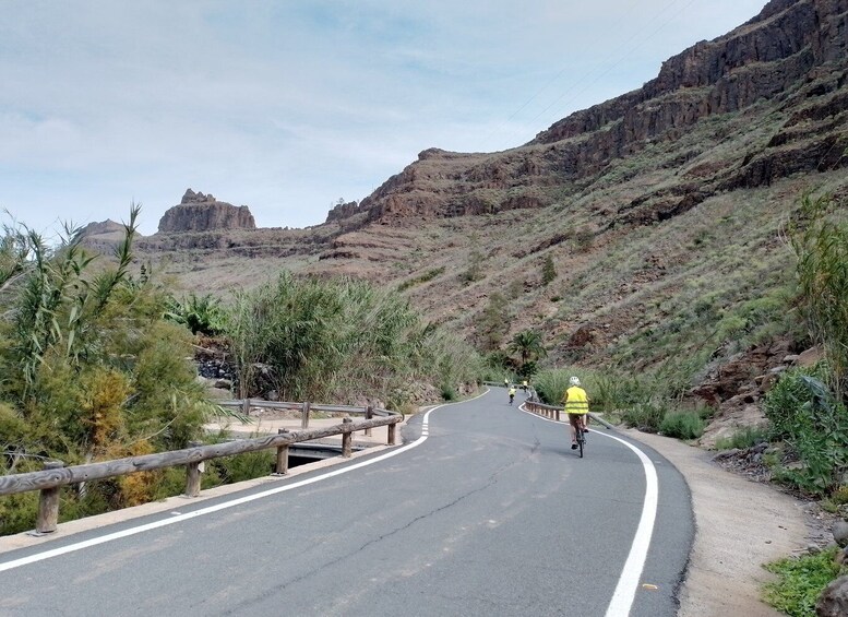 Picture 6 for Activity Maspalomas: Ayagaures E-Bike Mountain Tour Optional Tapas