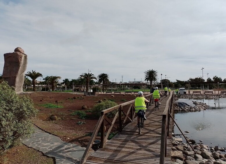 Picture 14 for Activity Maspalomas: Ayagaures E-Bike Mountain Tour Optional Tapas