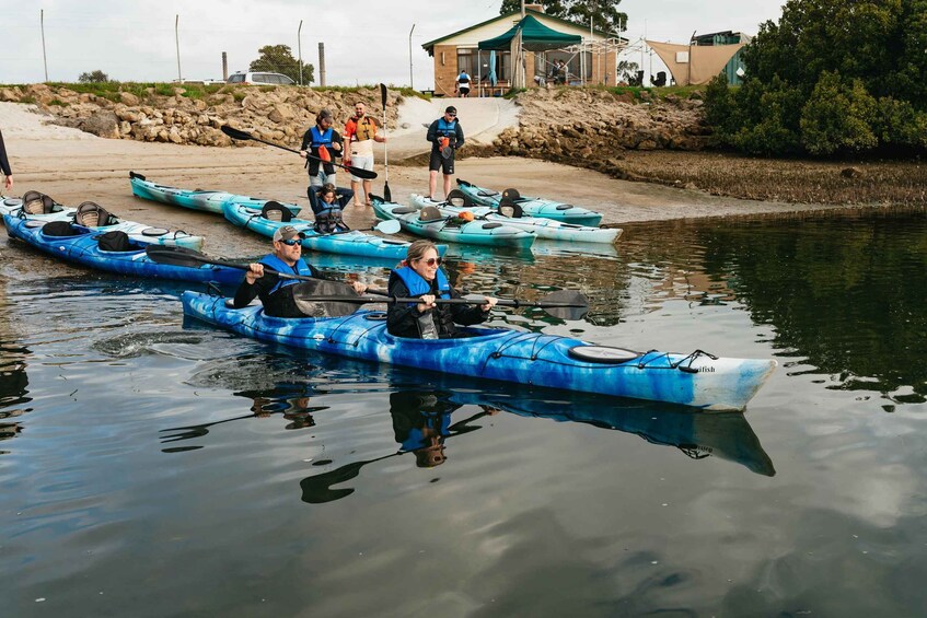 Picture 5 for Activity Adelaide: Dolphin Sanctuary Eco Kayaking Tour