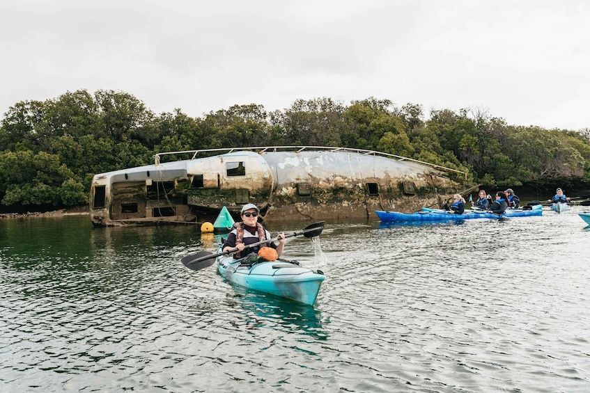 Picture 9 for Activity Adelaide: Dolphin Sanctuary Eco Kayaking Tour