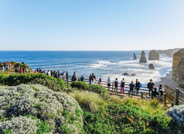 Picture 1 for Activity From Melbourne: Great Ocean Road, 12 Apostles, Wildlife Tour