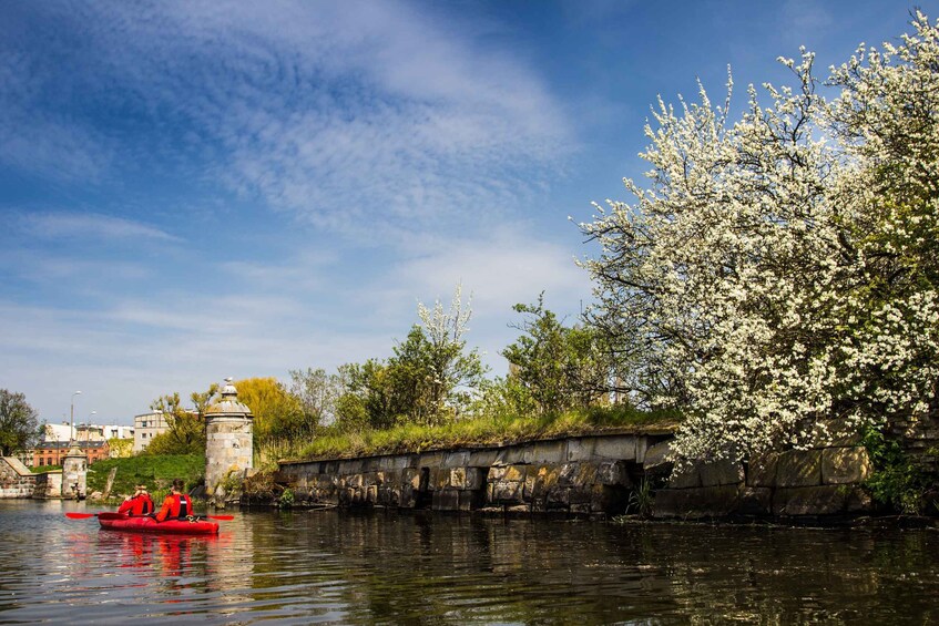 Picture 14 for Activity Gdańsk: Islands and Canals Private Kayak Tour