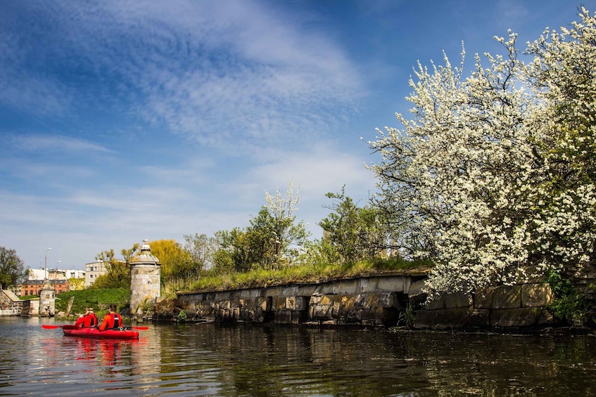 Picture 14 for Activity Gdańsk: Islands and Canals Private Kayak Tour
