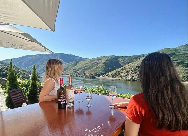 Picture 1 for Activity Douro Valley: Quinta do Tedo Wine Experience with Picnic