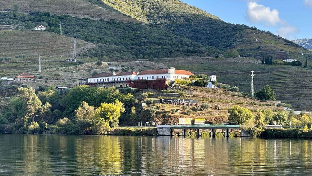 Picture 6 for Activity Douro Valley: Quinta do Tedo Wine Experience with Picnic