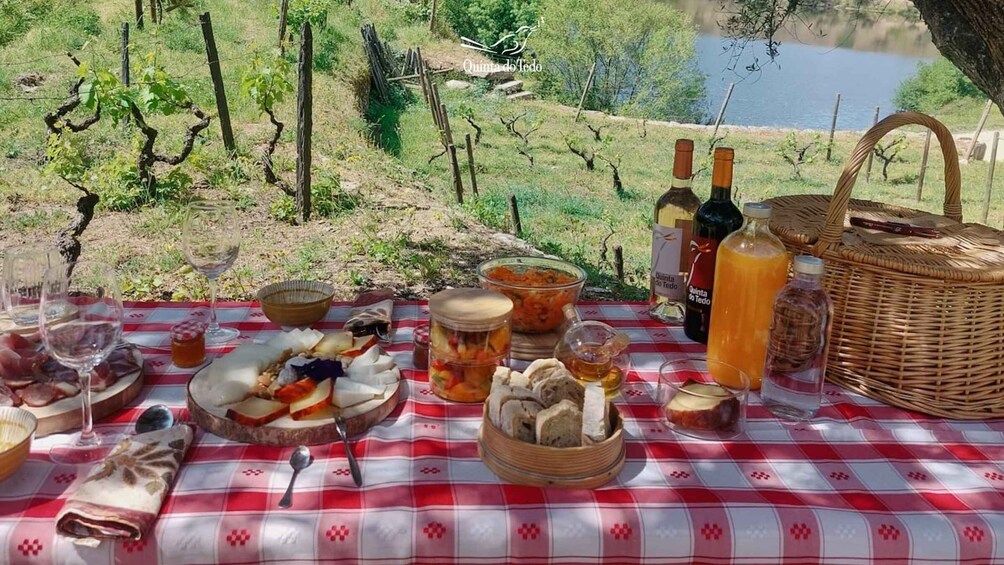 Douro Valley: Quinta do Tedo Wine Experience with Picnic
