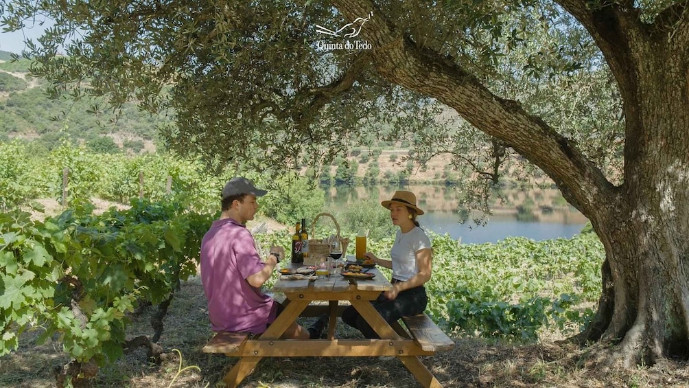 Picture 2 for Activity Douro Valley: Quinta do Tedo Wine Experience with Picnic