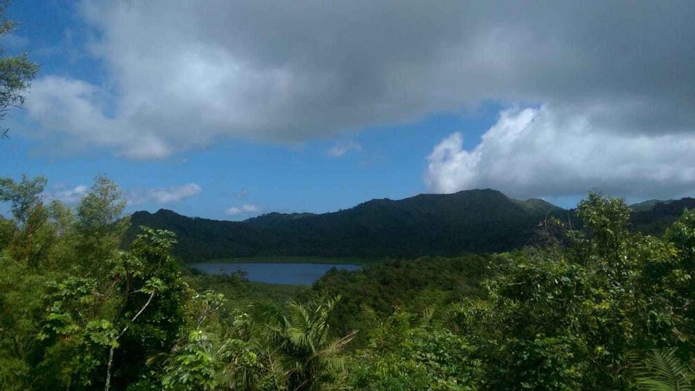 Picture 4 for Activity "Tropically Yours" Waterfall Nature Hike.