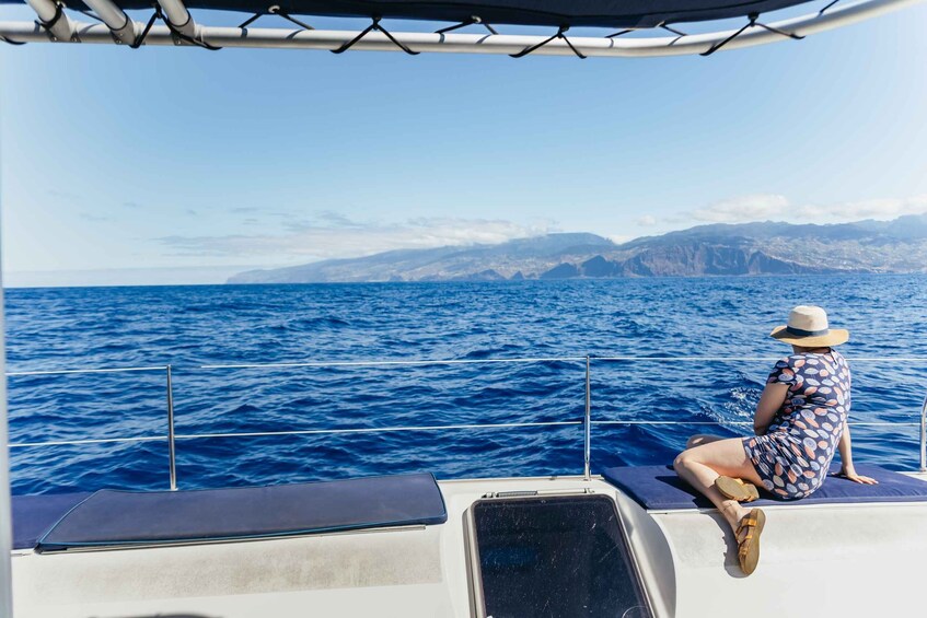 Picture 15 for Activity Funchal: Dolphin and Whale Watching Catamaran Cruise