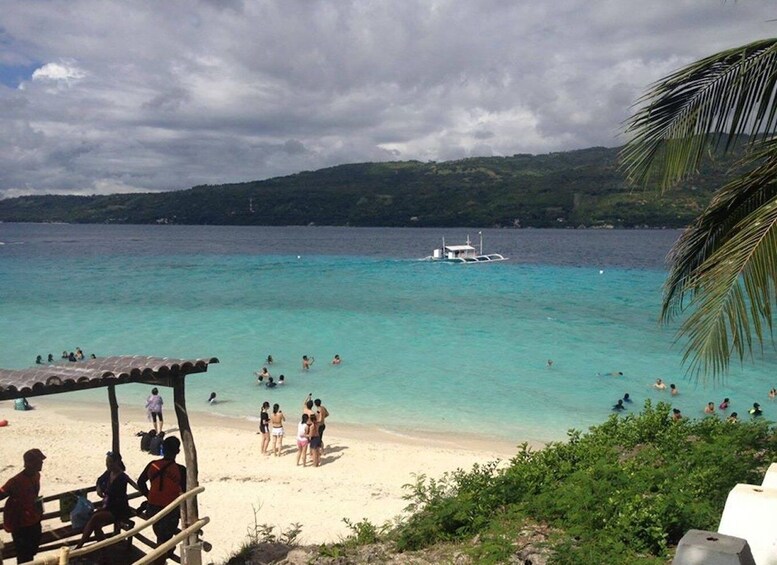 Picture 1 for Activity Cebu: Private Sumilon Island & Optional Whale Shark Swim