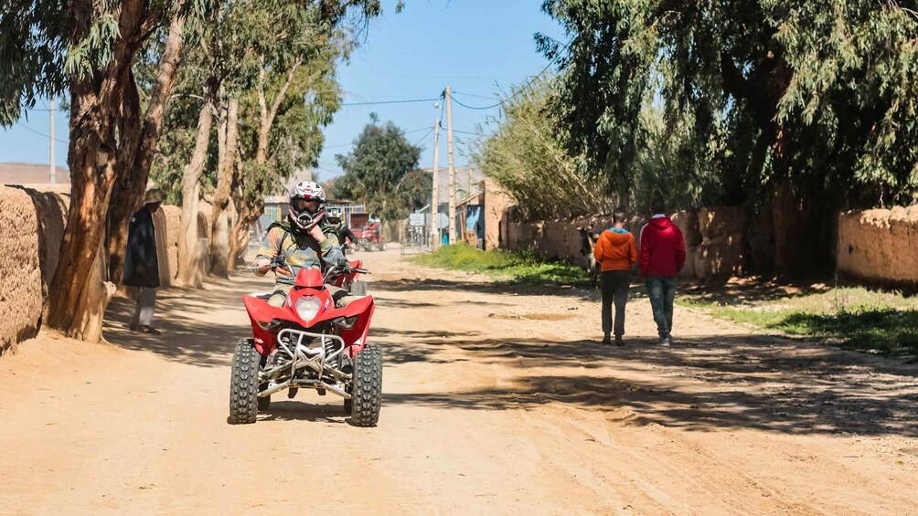Picture 3 for Activity Marrakech Quad Bike Experience: Desert and Palmeraie