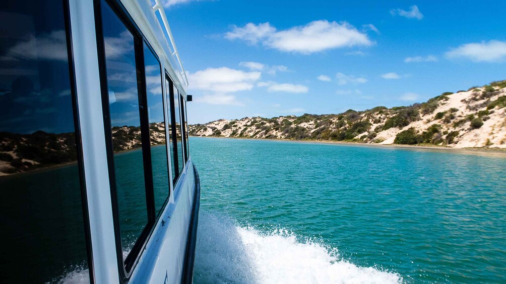 Picture 2 for Activity From Goolwa: Half-Day Coorong Experience