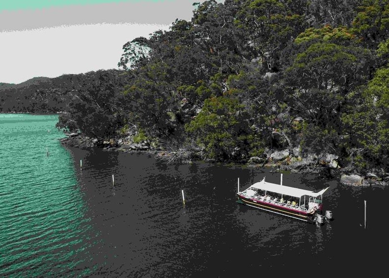 Picture 4 for Activity Shell to Showroom - Sydney's only Pearl Farm Experience