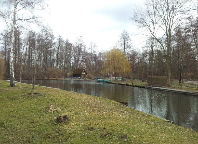 Picture 5 for Activity From Dresden: Day Trip to The Spreewald