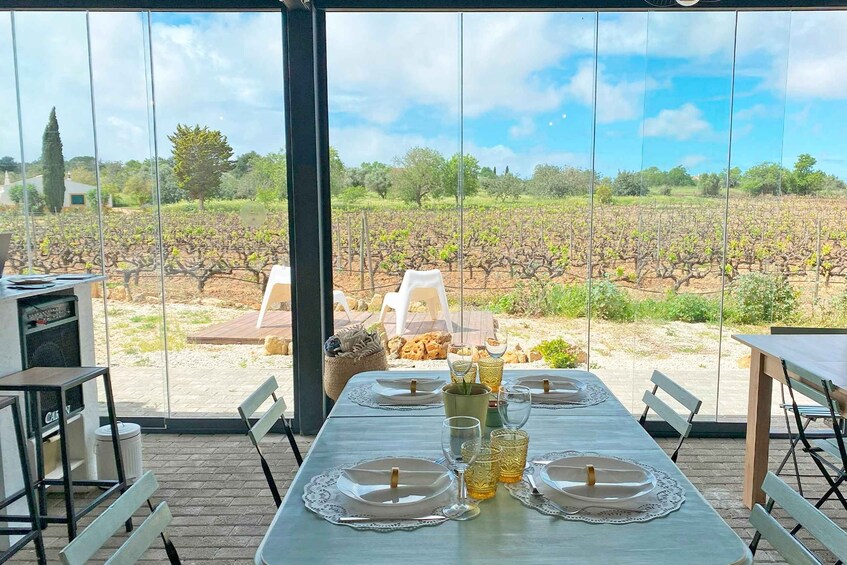 Picture 7 for Activity Carvoeiro/Portimão/Alvor: Wine Tour w/ Tasting, Tapas, Music